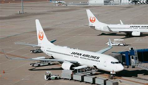 Promo Tiket Pesawat Murah ke Luar Negeri, Liburan ke Jepang dari