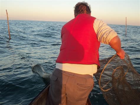 pesca na lagoa dos patos