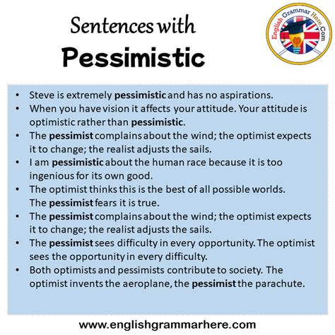 pessimistic meaning and example sentence