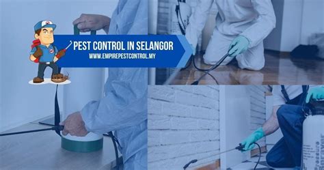 25 Best Pest Control Service Near Bangi, Malaysia Facebook Last