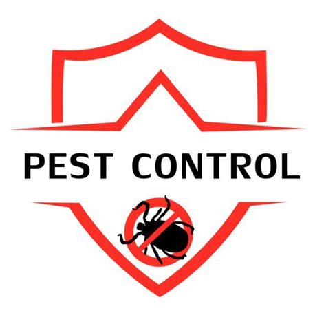 Accurate Pest Control YouTube