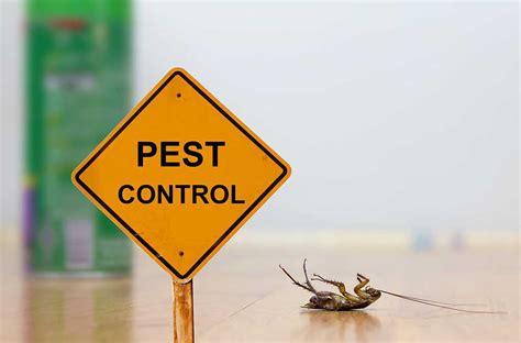 pest control availability in san antonio