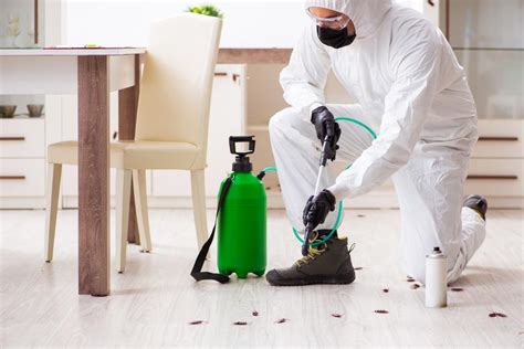 Pest Control Canberra Cost