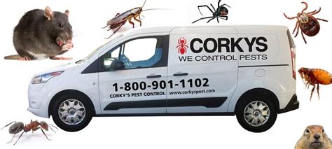 pest control companies in san diego ca