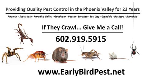 pest control el mirage az