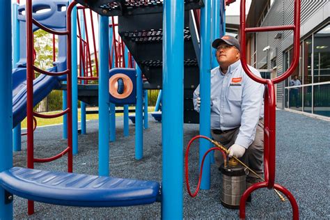 Pest Control In Schools