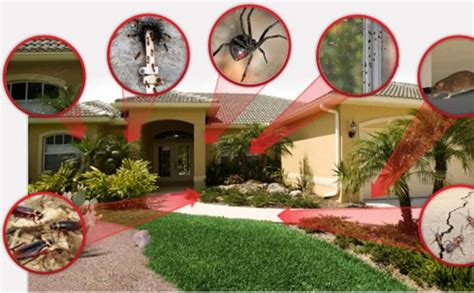 pest control jupiter fl