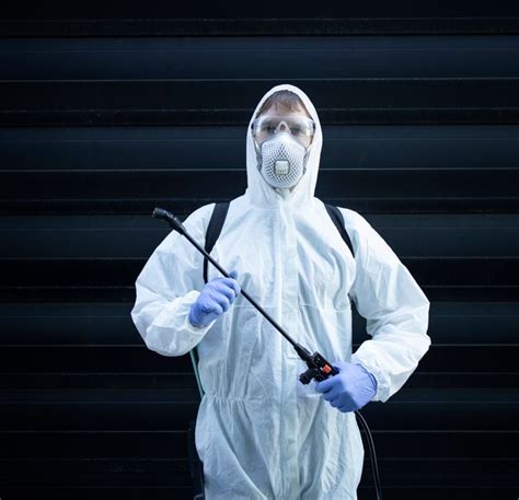 Pest Control Katy Tx