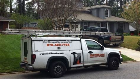 pest control marietta companies