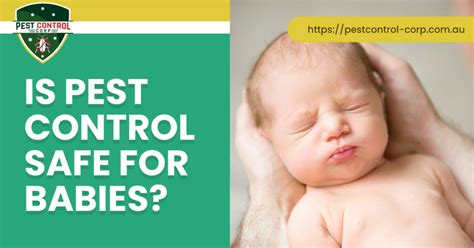 pest control safe for babies and pets