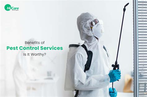 Pest Control Services Job