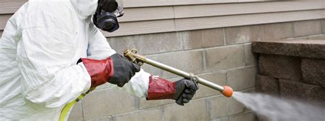 pest control services reviews in aurora