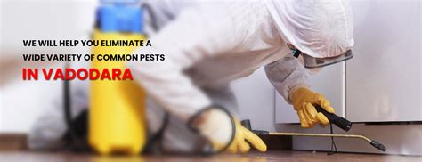 Pest Control Services Vadodara
