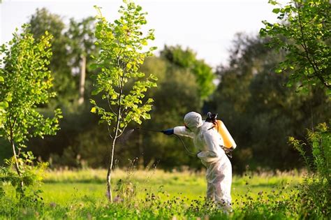 Pest Control Spray Trees