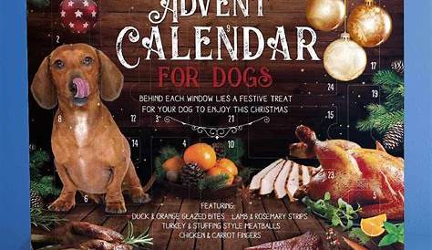 Aldi Dog Advent Calendar 2022 - Printable Word Searches