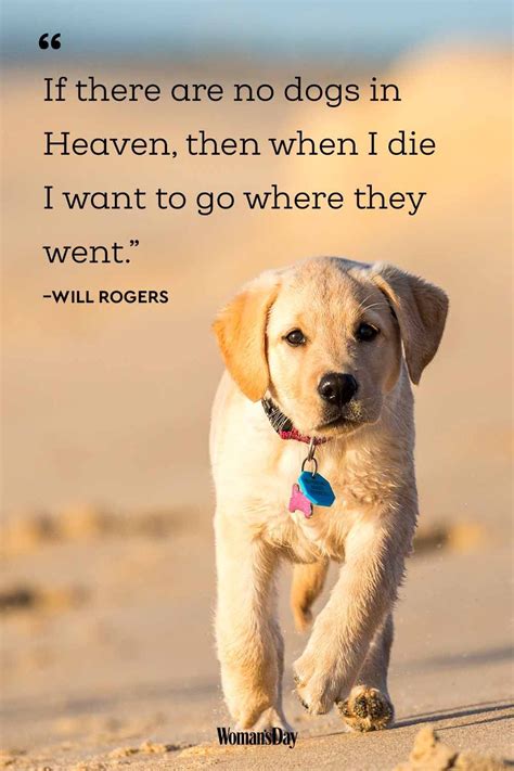 20 Cute & Famous Dog Quotes Word Porn Quotes, Love