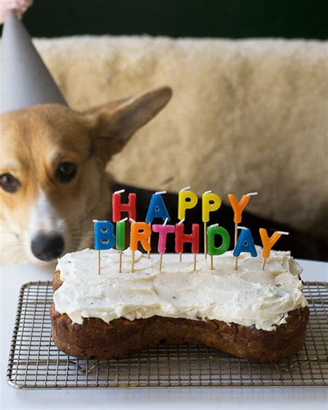 Pet Dog Birthday Cake