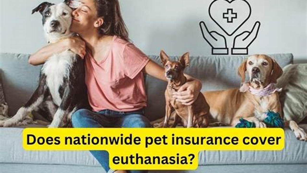 Guide to Pet Euthanasia Insurance in Iowa: Financial Protection and Peace of Mind