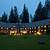 pet friendly hotels near olympic national park