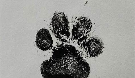 INK-LESS PET PAW PRINT KEEPSAKE | Pet paw print, Dog paw print, Paw