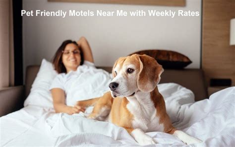 pet friendly motels weekly rates in new york city