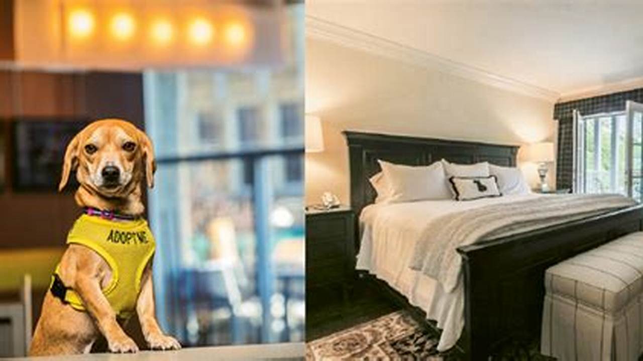 Unveiling 8 Secrets to Finding the Ultimate Pet-Friendly Stays in NYC