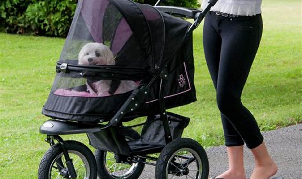 Unveiling the Secrets of Pet Gear Strollers: A Journey of Comfort, Safety, and Joy