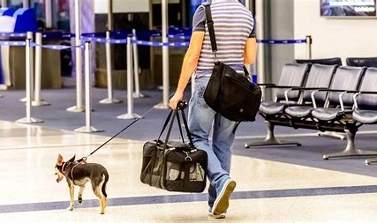 pet insurance for air travel