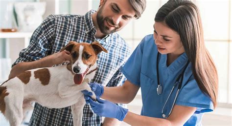 Pet Insurance In Kansas: Protecting Your Furry Friends