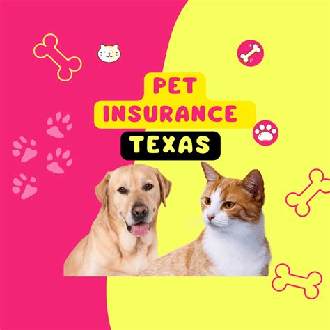 39 HQ Images Affordable Pet Insurance Texas Pet Insurance Texas Bar