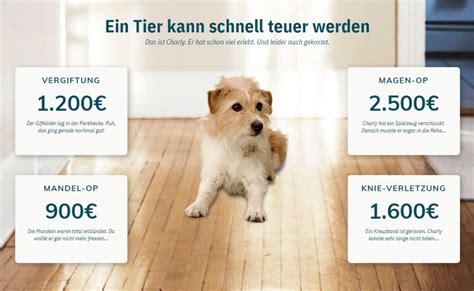 PetProtect Hundeversicherung 11/2020 Erfahrungen & Kosten