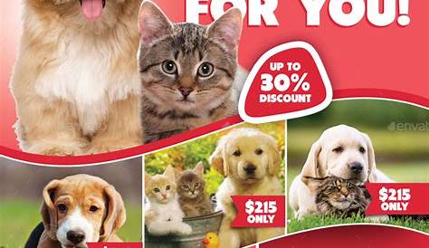 Pet Store Advertisements 106 Best Groomers Advertising Templates Ideas Images Dog