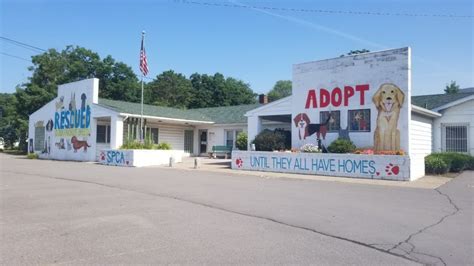 pet adoption luzerne county