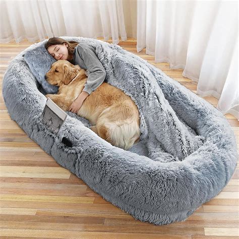 Pet Bed Amazon Uk