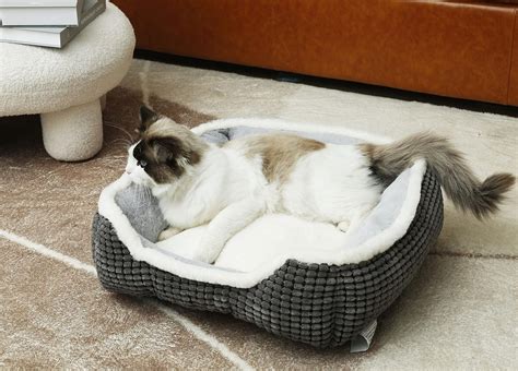 Pet Beds Edmonton