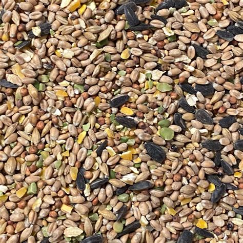 Pet Bird Seed