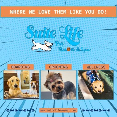 Pet Boarding Abilene