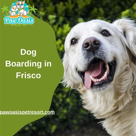 Pet Boarding In Frisco