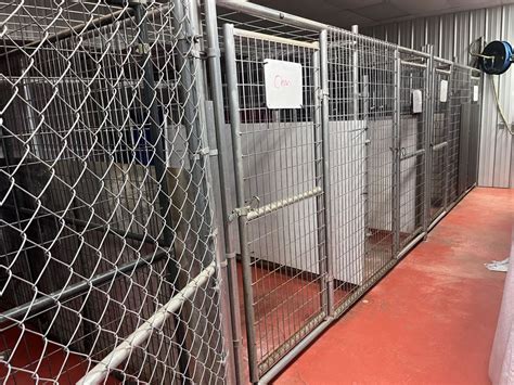 Pet Boarding In Ocoee