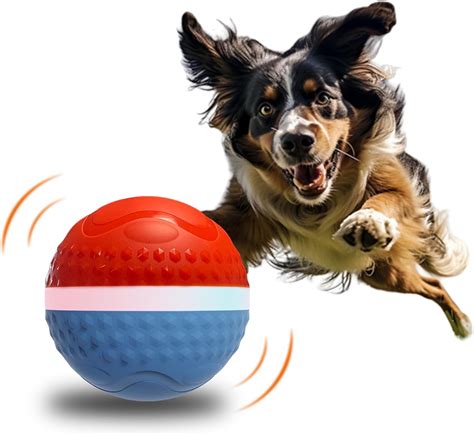 Pet Bouncing Ball