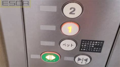 Pet Button In Elevator
