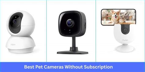 Pet Camera Without Subscription Reddit