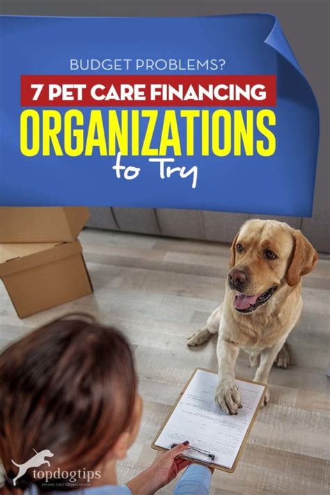 pet care financing