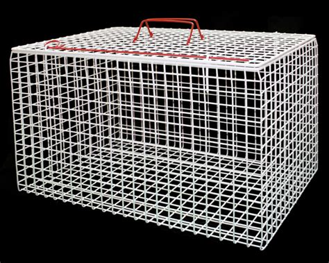 Pet Carrier Wire