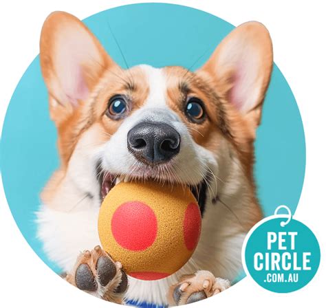 Pet Circle Discount Code Feb 2021