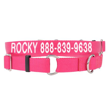 Pet Collars Petsmart