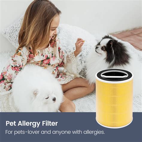 Pet Dander Air Filter