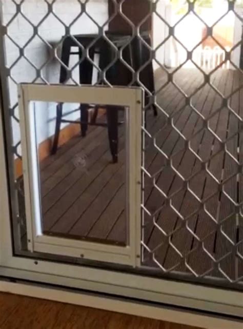 Pet Door Install Screen