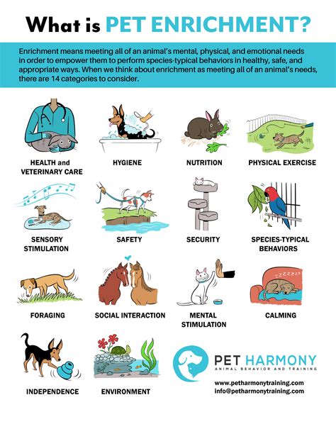 Pet enrichment