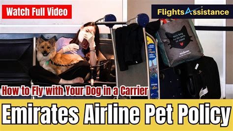 Pet Flight Ticket Emirates
